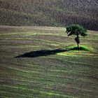 Toscana 3