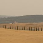 toscana 3