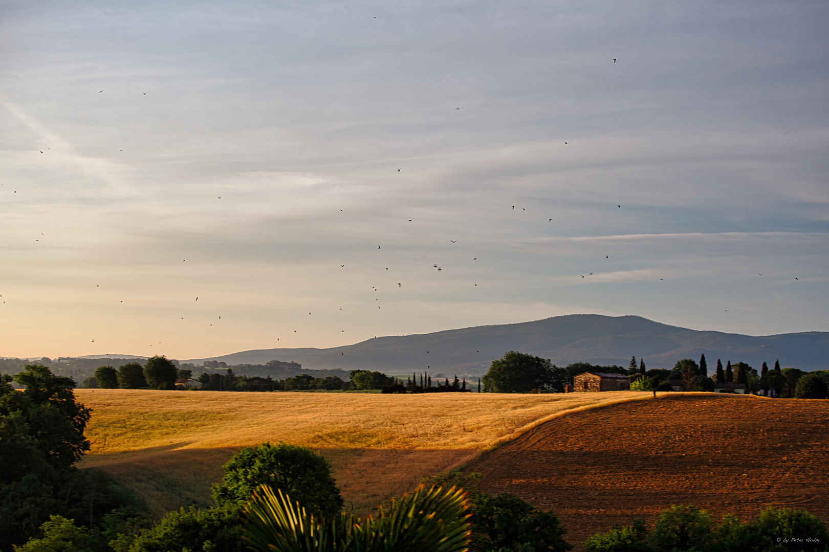 Toscana