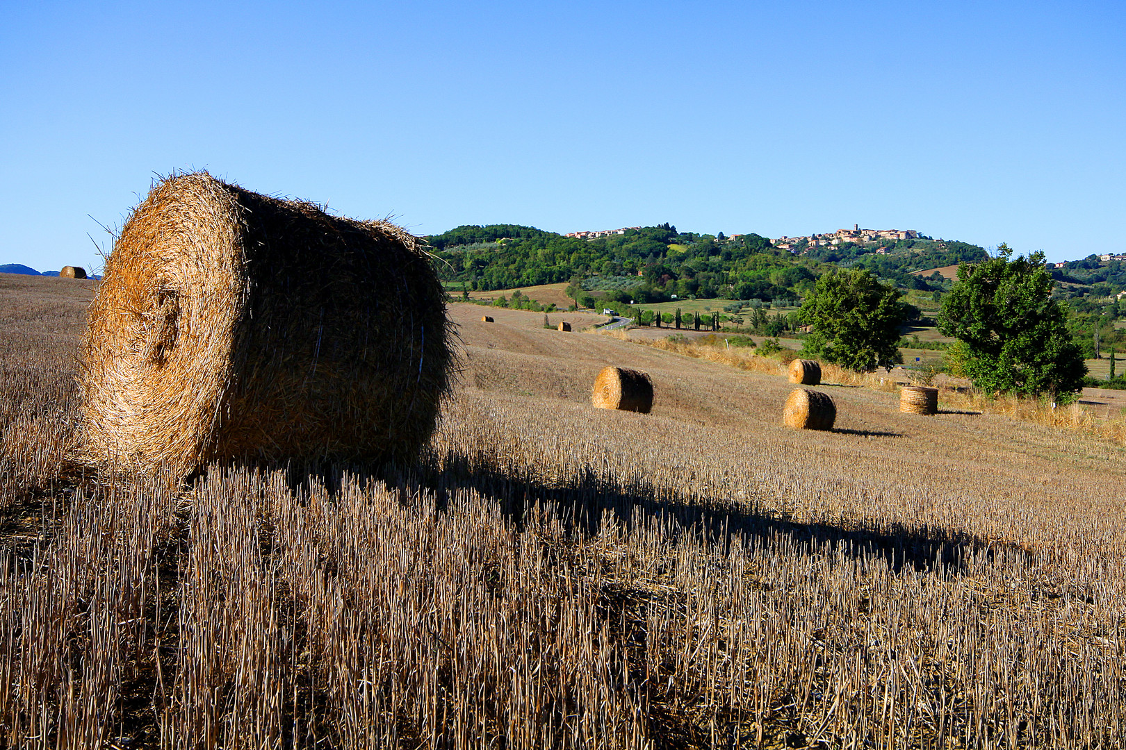 Toscana