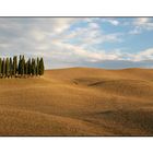 - toscana -