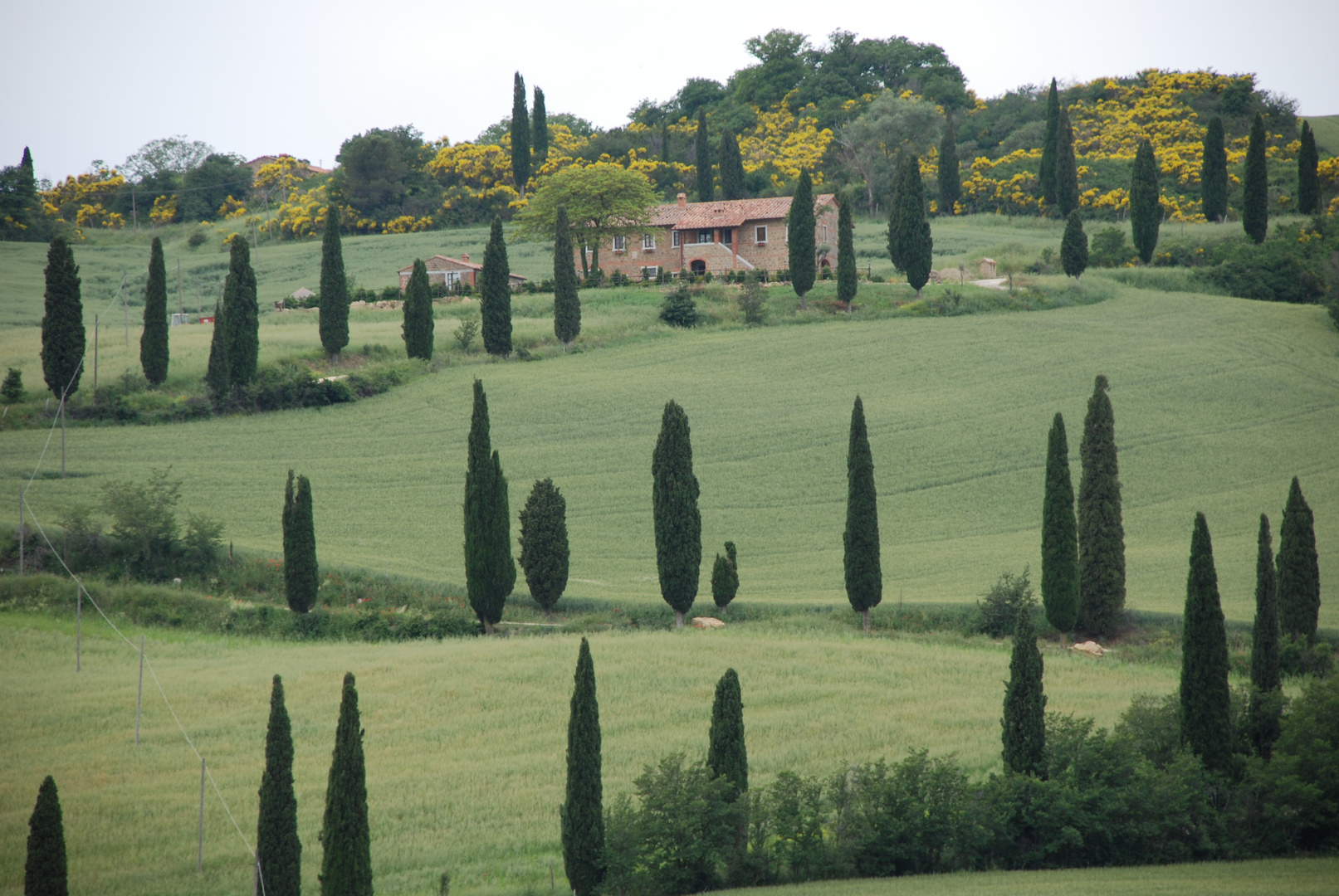 Toscana