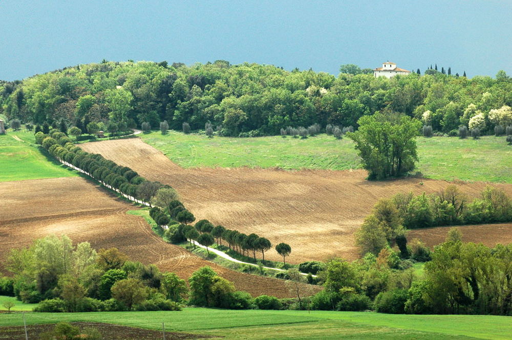 Toscana