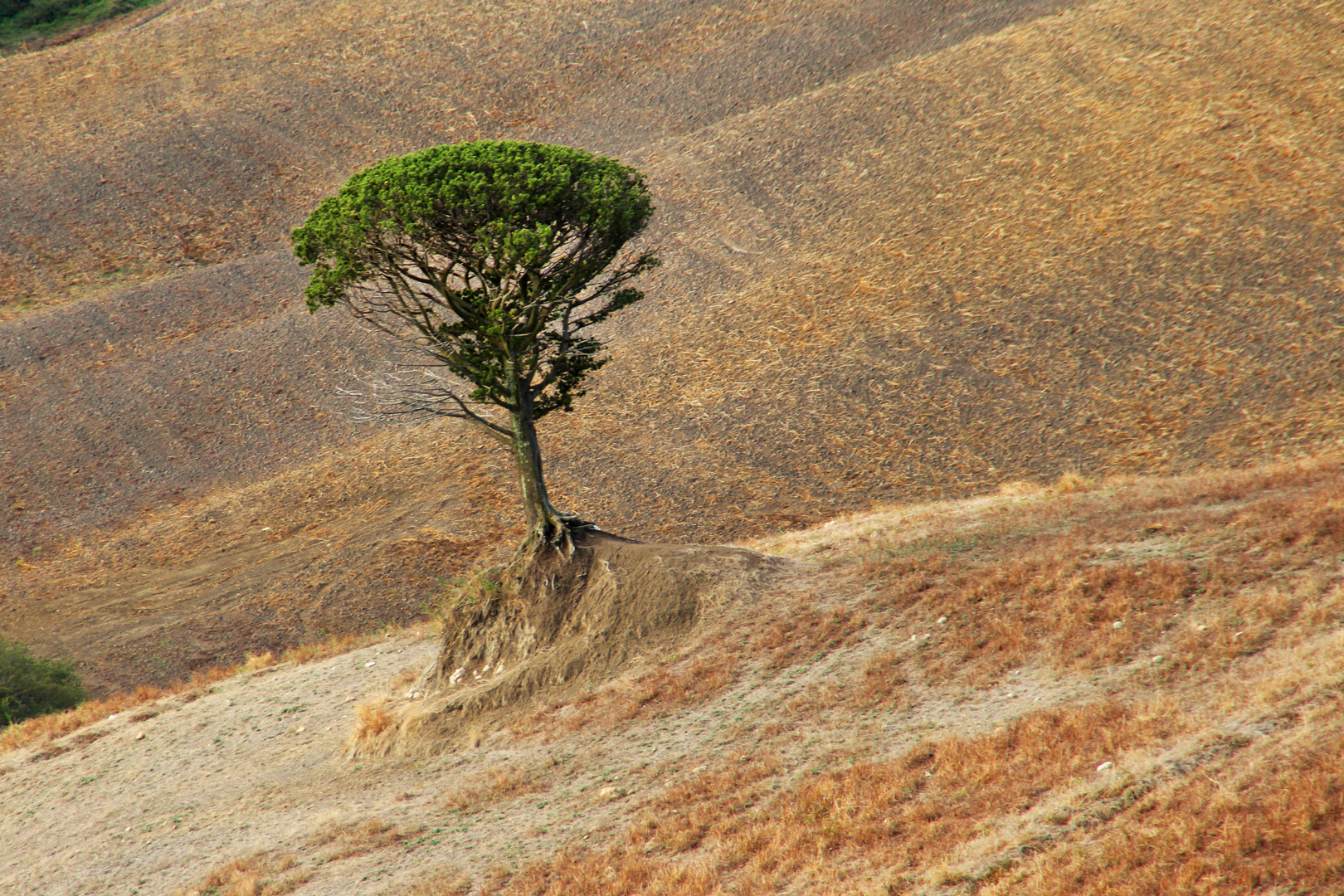 Toscana