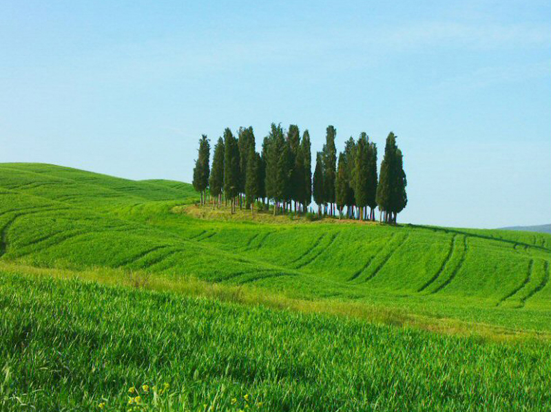 Toscana / 8