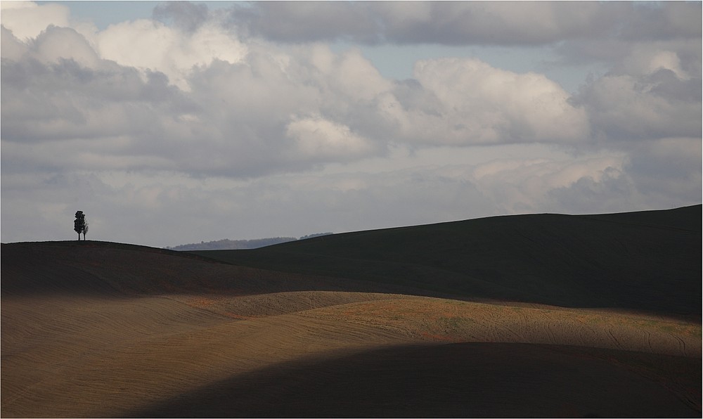 Toscana ...