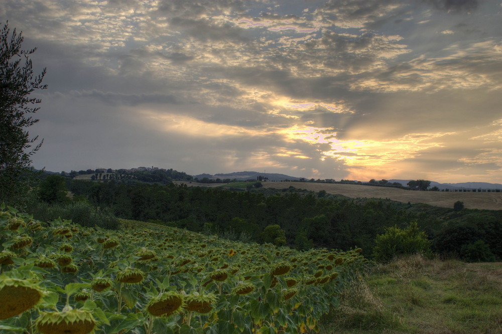 Toscana