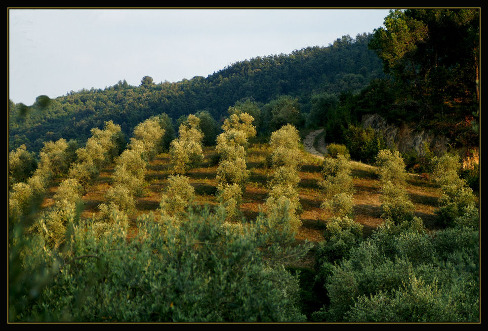 Toscana