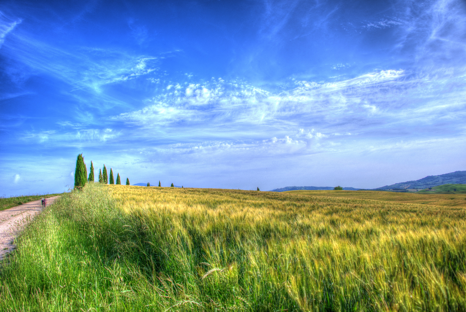 toscana