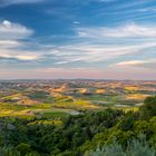 Toscana, Abendlicht bei Montalcino