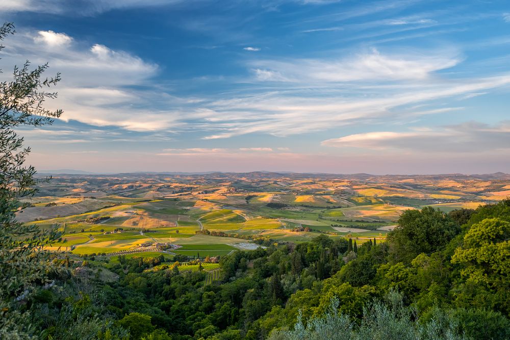 Toscana, Abendlicht bei Montalcino