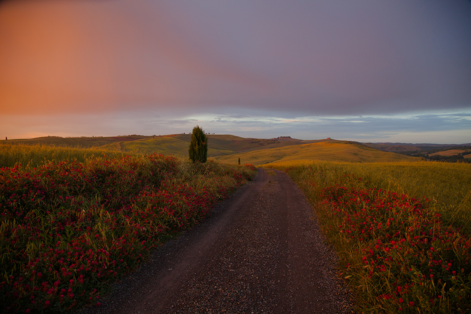 Toscana - Abendstimmung