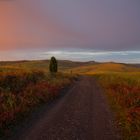 Toscana - Abendstimmung