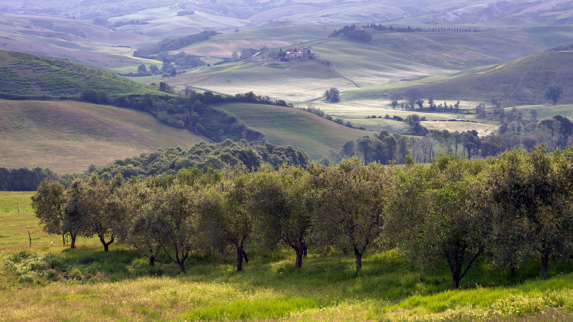 Toscana am Morgen