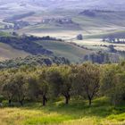 Toscana am Morgen