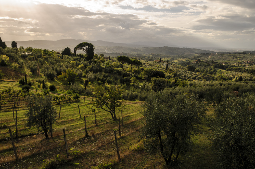 Toscana am Nachmittag