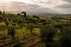 Toscana am Nachmittag