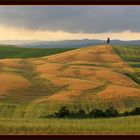 Toscana Asciano 