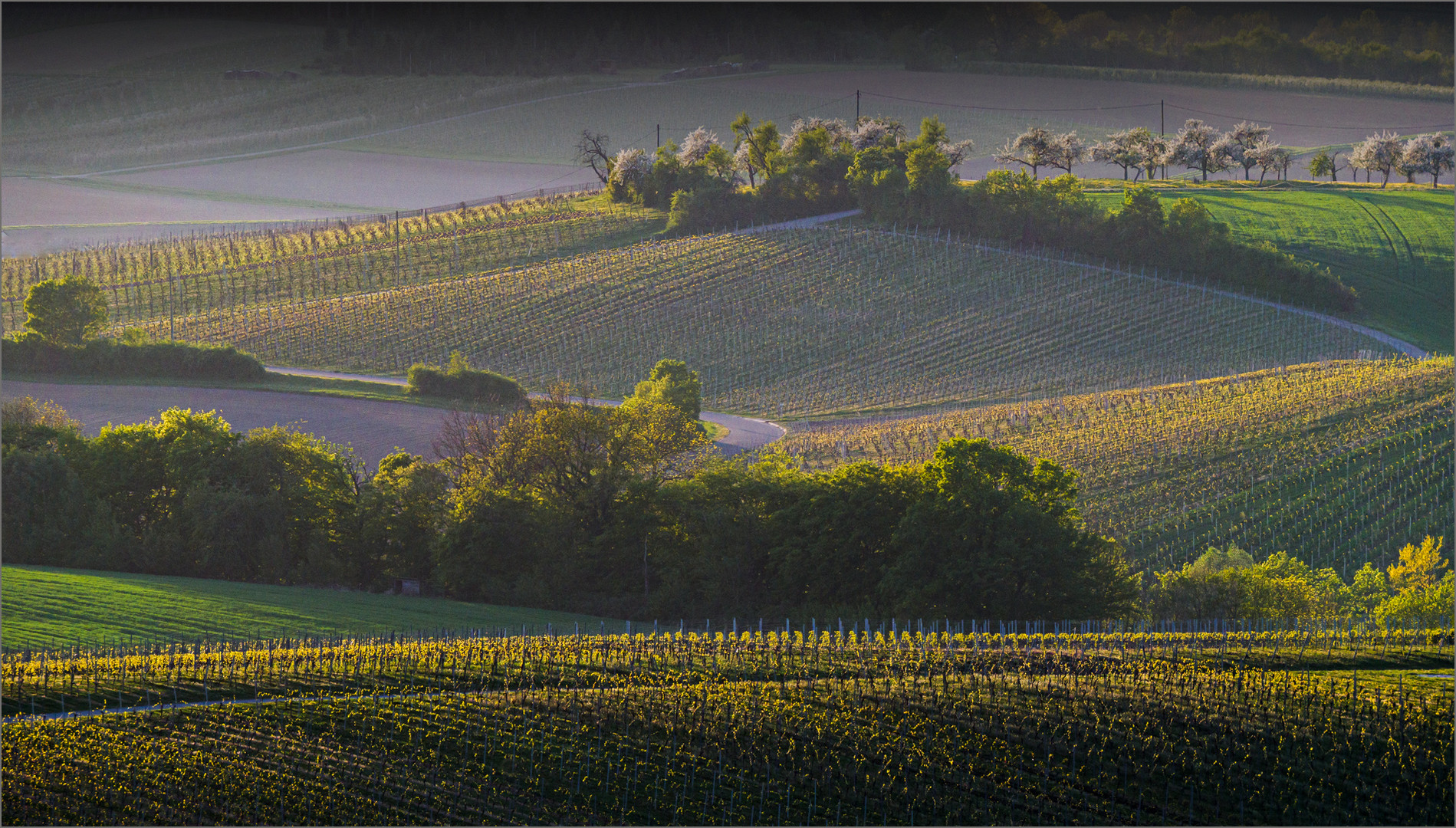 Toscana auf schwäbisch