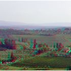 Toscana-Blick (3D+MPO-Link)