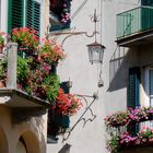 Toscana - *Blumenbalkon in Poppi* (bei Arezzo)