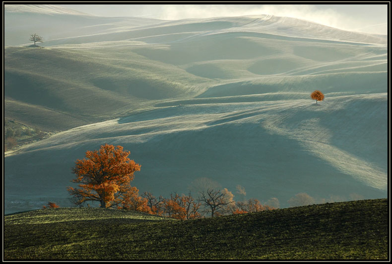 Toscana bogi 1