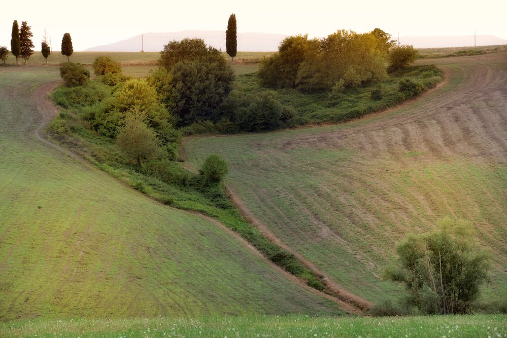 Toscana