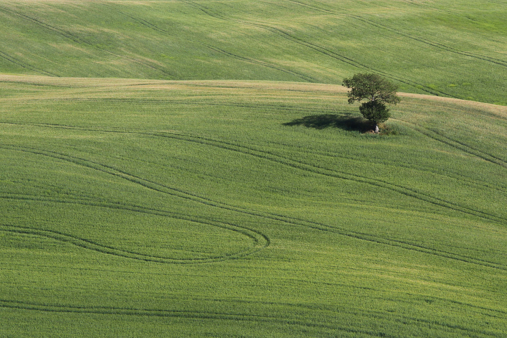 Toscana