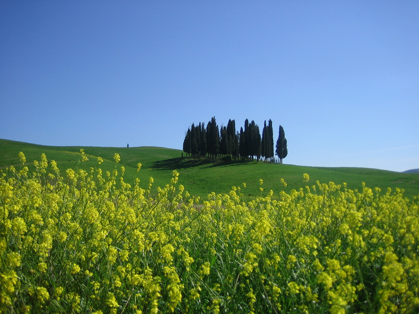 toscana