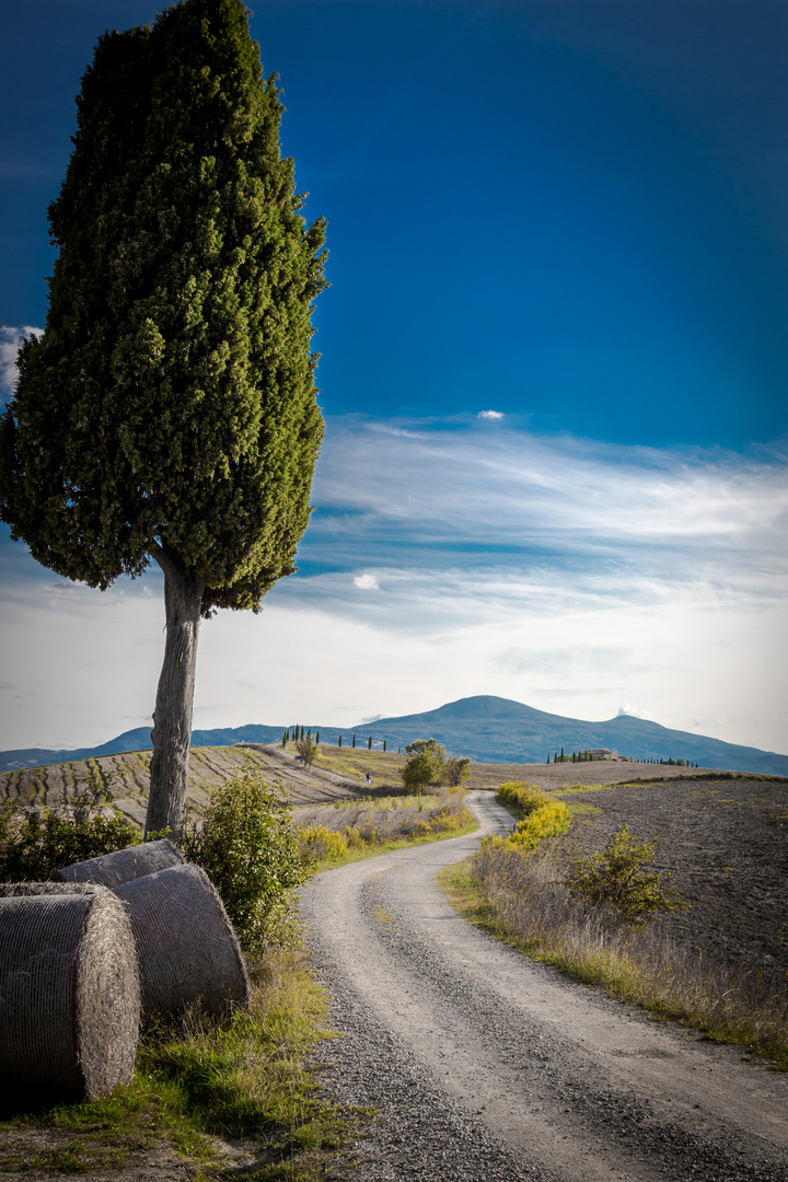 Toscana 