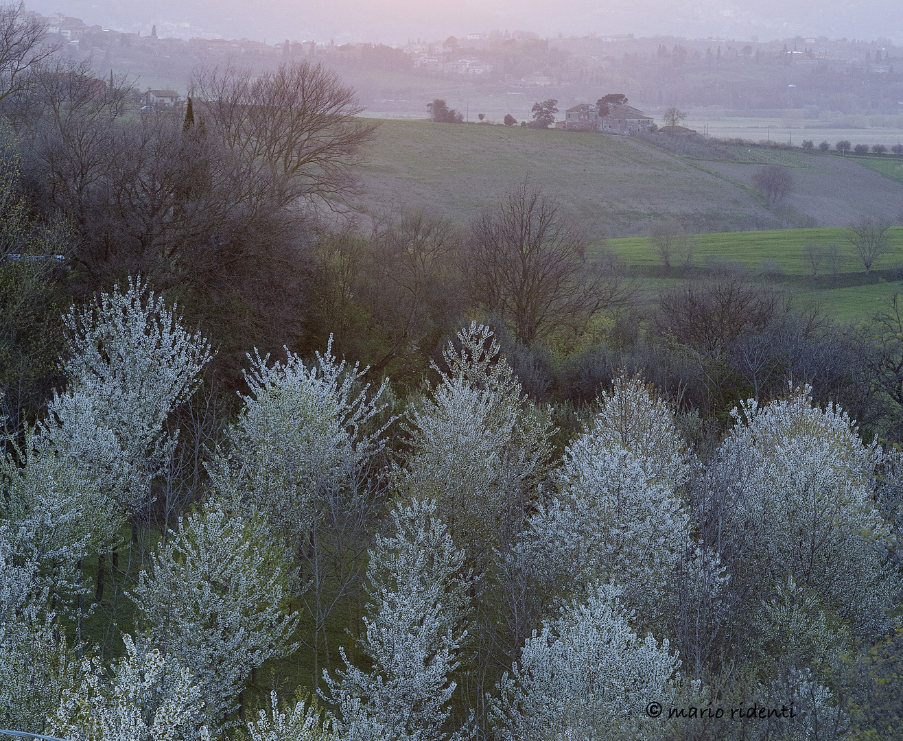 Toscana