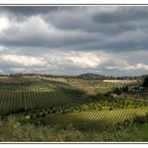 Toscana Casanuova di Ama