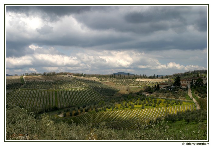 Toscana Casanuova di Ama