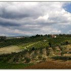 Toscana: Casanuova di Ama (Chianti)