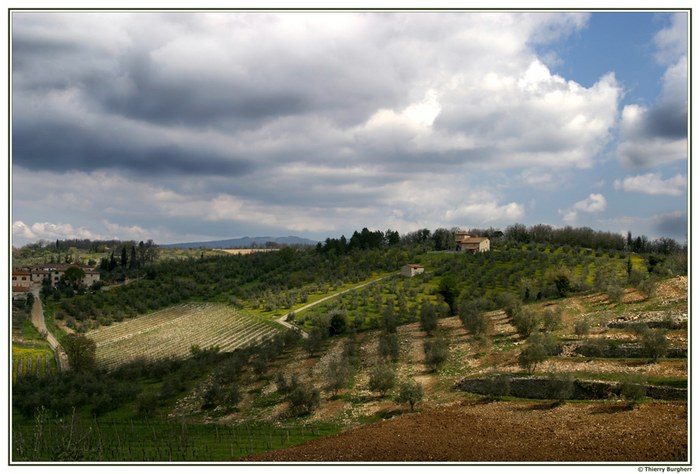 Toscana: Casanuova di Ama (Chianti)