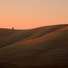 Toscana