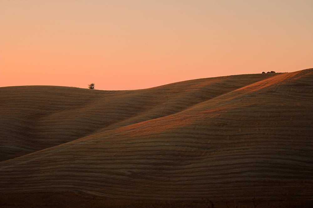 Toscana