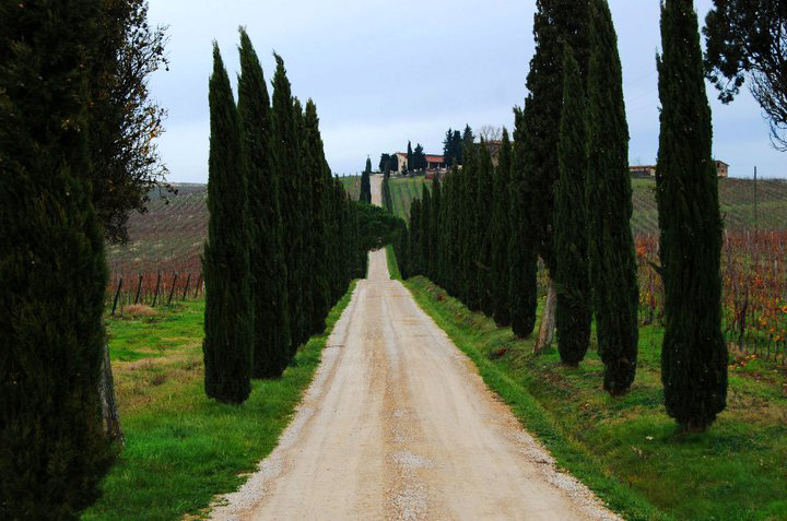Toscana Chianti