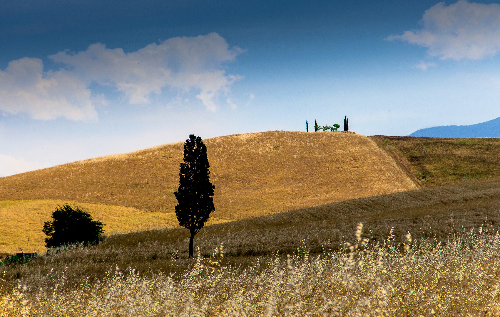 Toscana (Crete)