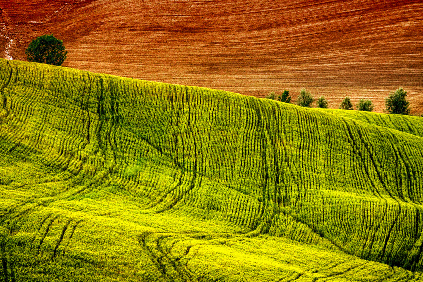 ~ Toscana ~ Crete ~