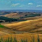 Toscana: Crete Senesi