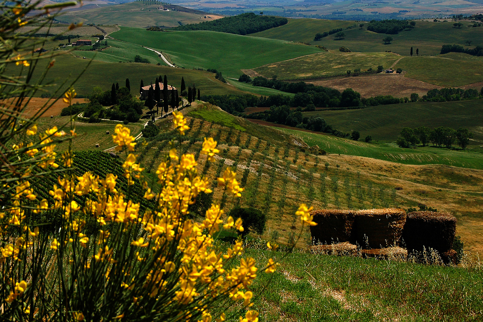 Toscana Crete Senesi 2