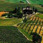 Toscana Crete Senesi