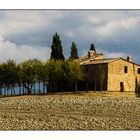 Toscana Crete Senesi