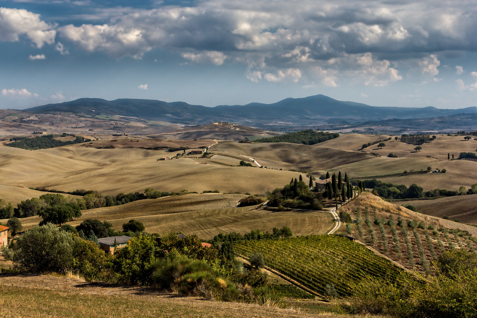 Toscana Crete Senesi