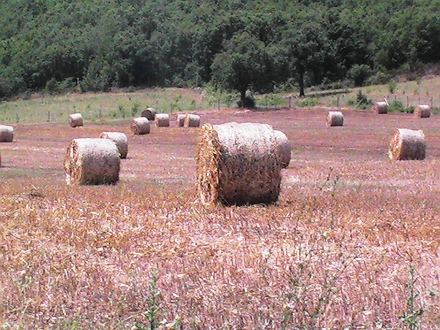 Toscana