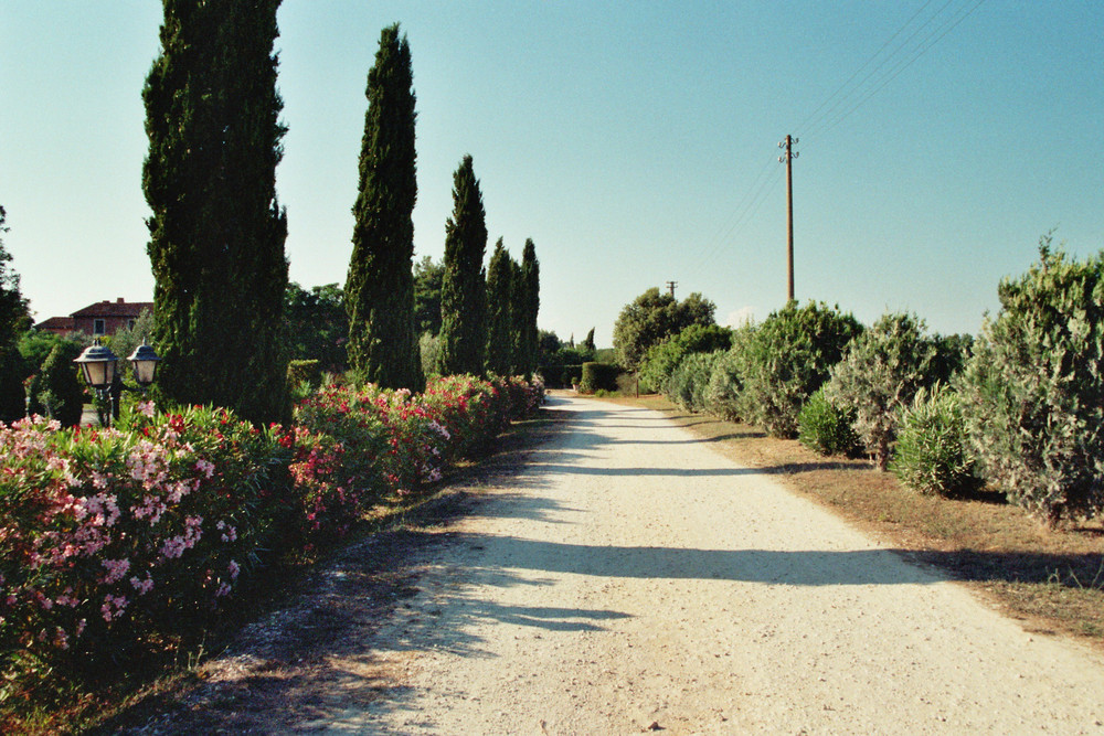 Toscana Donoratico