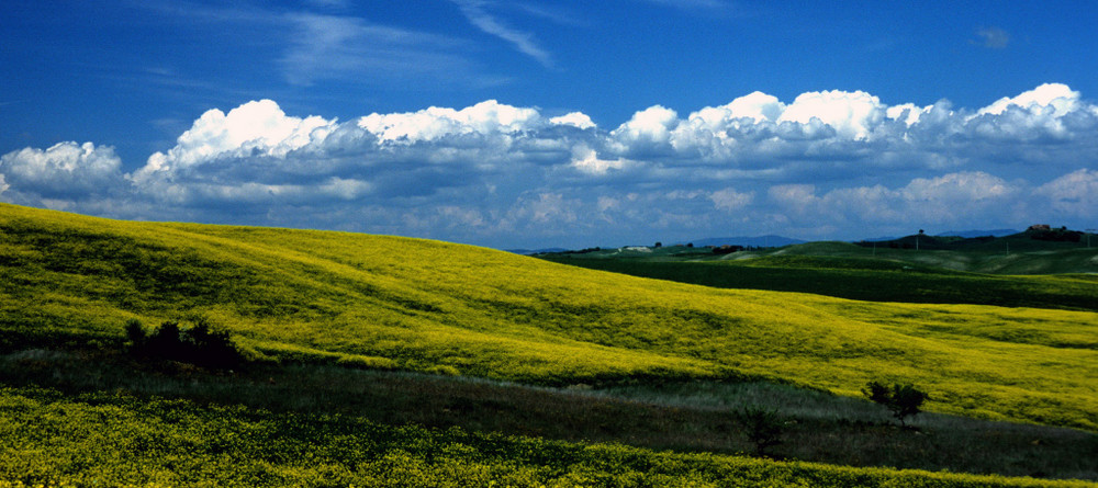 Toscana-ein Versuch