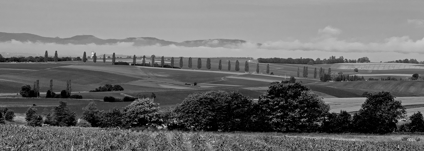 Toscana en Alsace du Nord