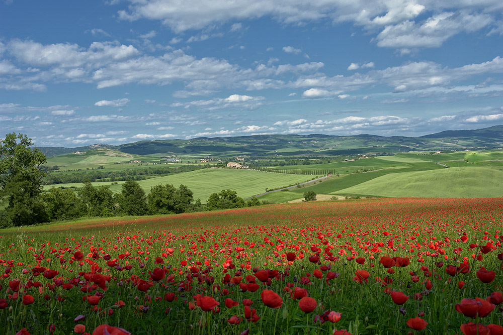 Toscana-Feeling